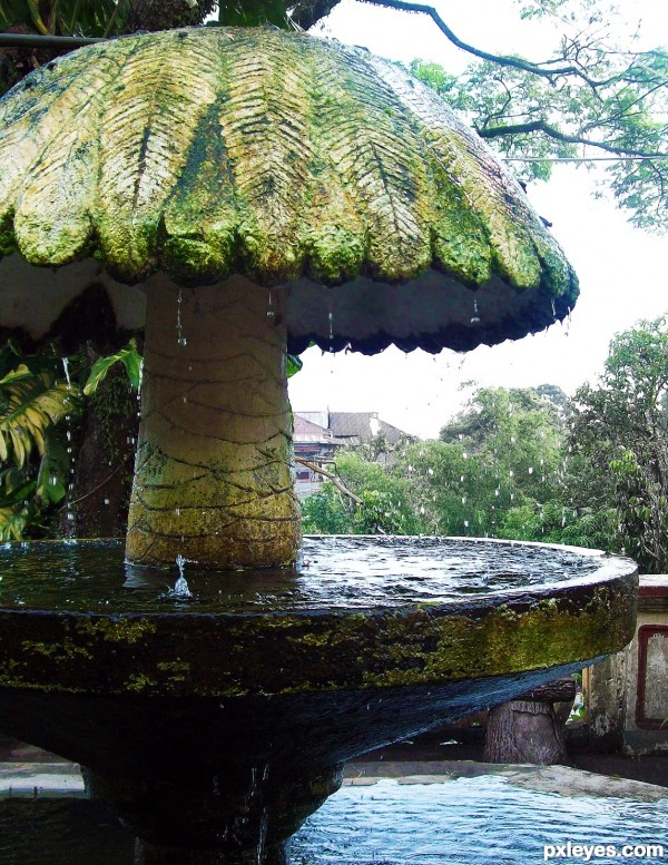 fountain of moss